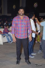 Geetha Govindham Movie Audio Launch Photos